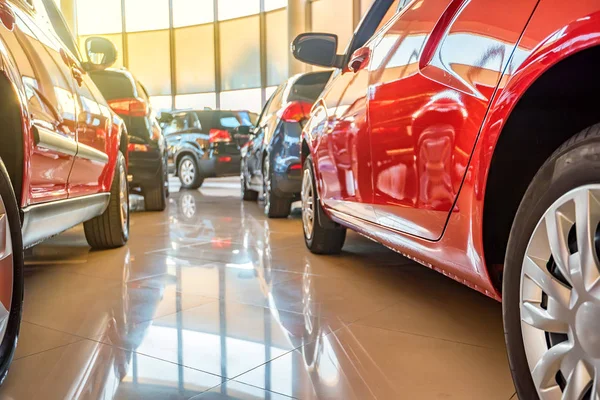 Galeride yeni arabalar