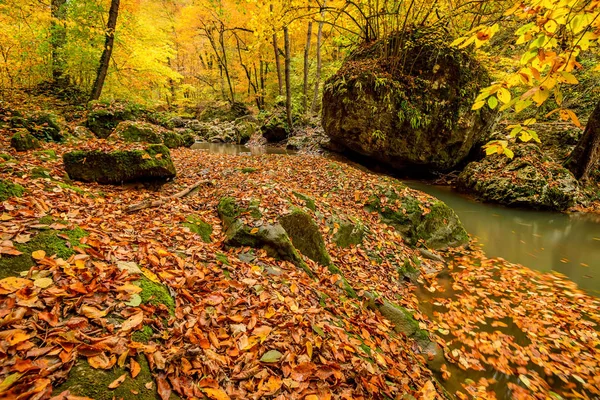 Dere ile sonbahar orman — Stok fotoğraf