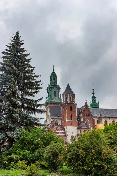 Kraków, Polska - czerwca, 2012: Widok na zamek na Wawelu — Zdjęcie stockowe