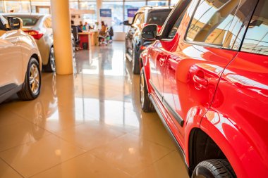 Galeride yeni arabalar