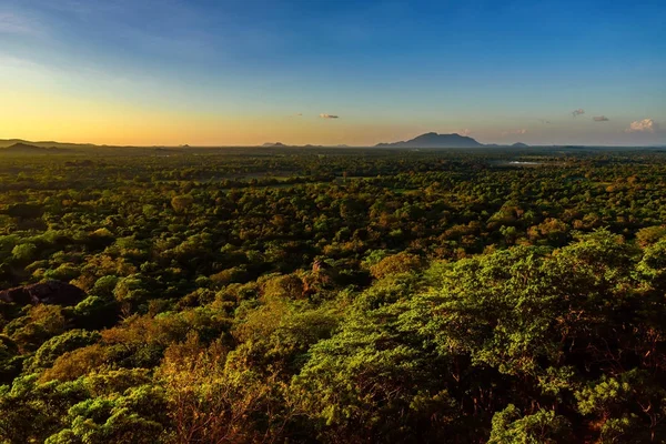 Letecký pohled na tropických lesů Srí Lanka — Stock fotografie