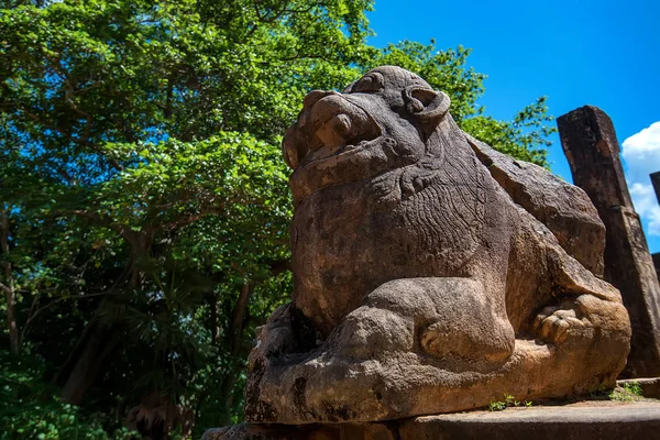 Polonnaruwa sri Lanka oroszlán szobrok — Stock Fotó
