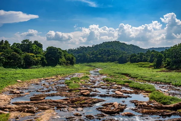 Krajina z řeky v džungli Srí Lanky — Stock fotografie