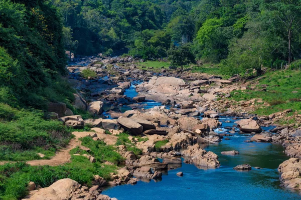 Paisaje del río en la selva de Sri Lanka — Foto de Stock