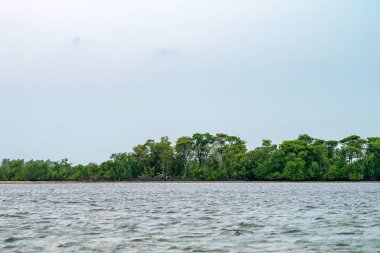 avuç içi ile tropikal kıyı şeridi