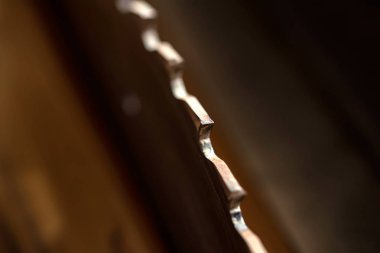 Yakın çekim için daire testere marangoz dükkanı