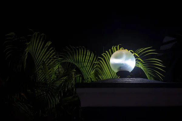 Lampada da strada rotonda in scuro con foglie verdi intorno — Foto Stock