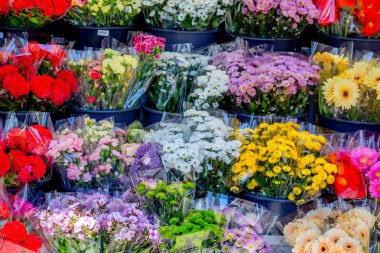 Çeşitli renkli çiçek çiçekçi kapatın