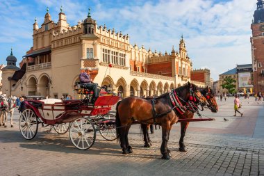 Krakow, Polonya - Haziran 2012: Turist coachmen
