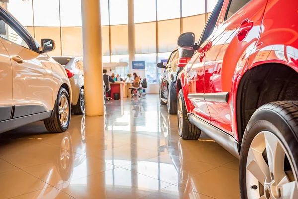 New cars at dealer showroom — Stock Photo, Image