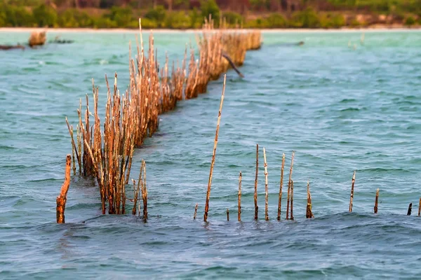 Trappola di pesce nel fiume, bellissimo paesaggio naturale — Foto Stock
