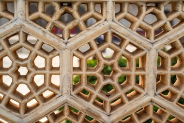 Red Fort Agra çalışmalarını mimari pierce