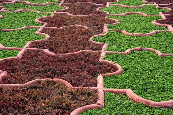 Angoori Bagh ou Jardim das Uvas, Forte de Agra, Índia . — Fotografia de Stock