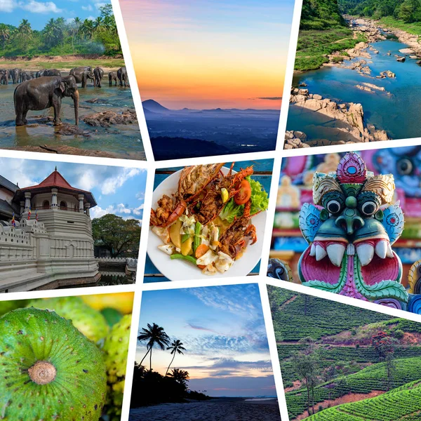 Sri Lanka seyahat kolajı