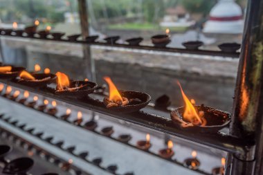 Hindistan cevizi yağı lambalar Tapınak