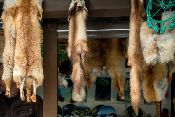 Fourrures de renard au marché — Photo