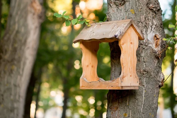 Mangeoire maison oiseaux — Photo