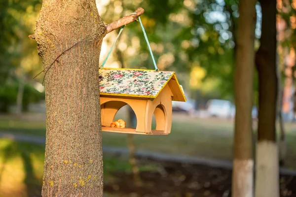 Mangeoire maison oiseaux — Photo