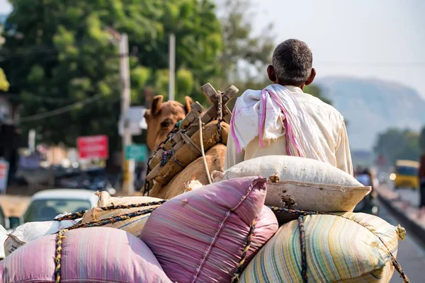 Uomo cavalca cammello in India vista posteriore — Foto Stock