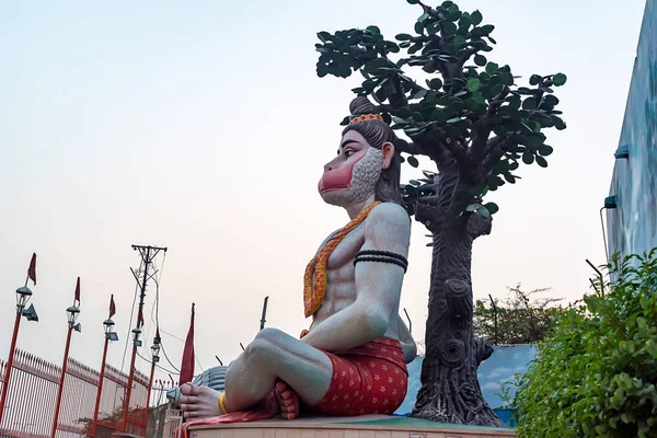 Grande statua di Hanuman in strada indiana — Foto Stock