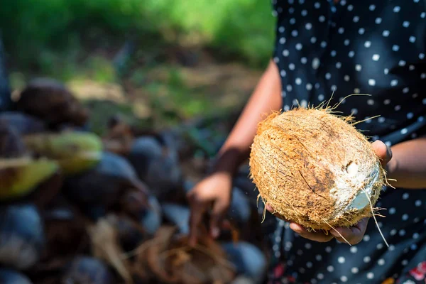 Woman olds whole coconut in her hands — Stock Photo, Image