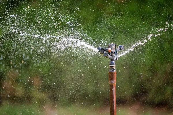 Fermer arroseur d'eau dans le jardin — Photo