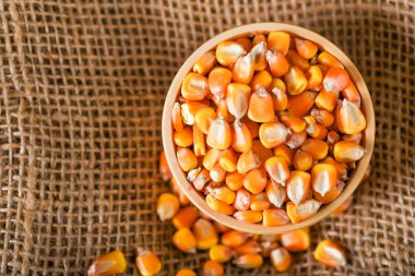 Ahşap masa üzerinde kase mısır tohumları kapatın