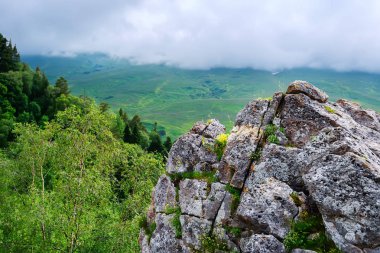 Dağ çayır doğal görünümü