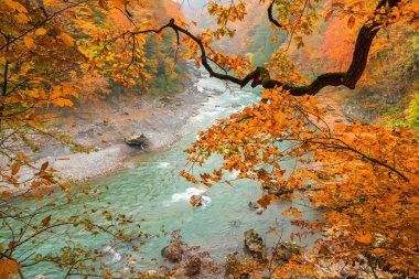 Sonbahar yatay, dağ nehir ve orman