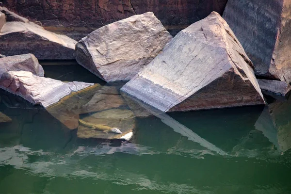 Louveteau crocodile dans la rivière Ken en Inde — Photo