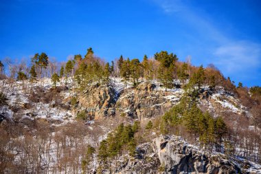 Karlı kış dağlar çam ormanı ile