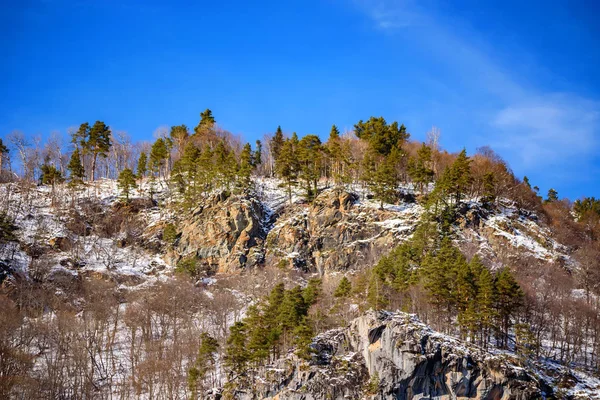 Karlı kış dağlar çam ormanı ile