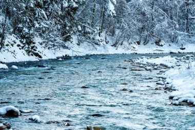 Kışın dağ nehir manzara