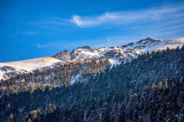 Karlı kış dağlar çam ormanı ile