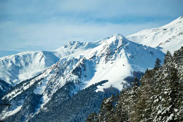 Montañas nevadas de invierno con bosque de madera blanda —  Fotos de Stock