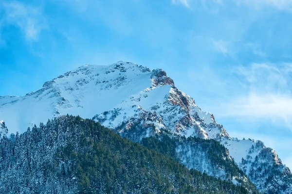 Zasněžené zimní hory s jehličnatých lesů — Stock fotografie