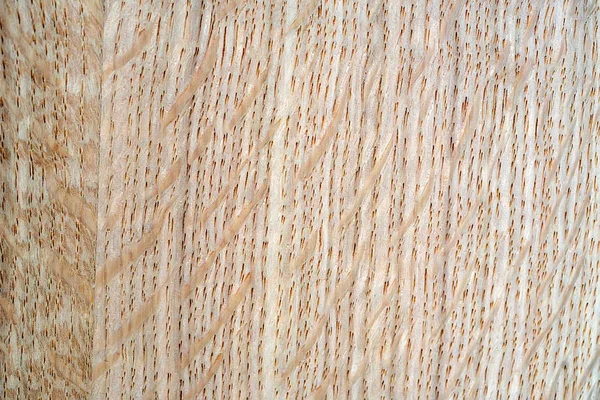 Textura obsoleta de madeira — Fotografia de Stock