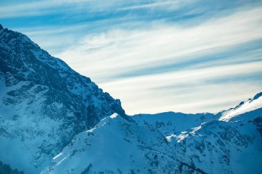 Karlı kış dağlar çam ormanı ile
