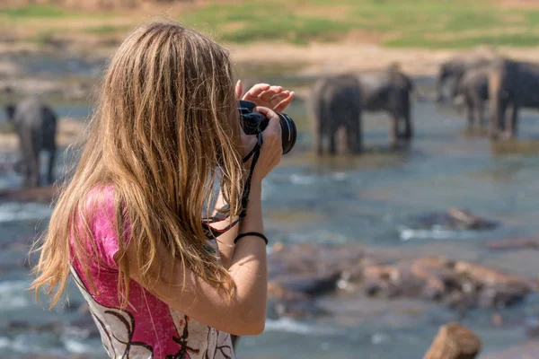 Fotógrafa de Vida Silvestre — Foto de Stock