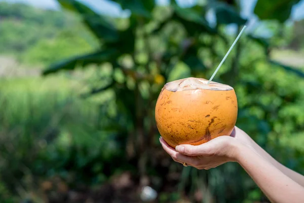 Mädchen mit Kokosnuss — Stockfoto