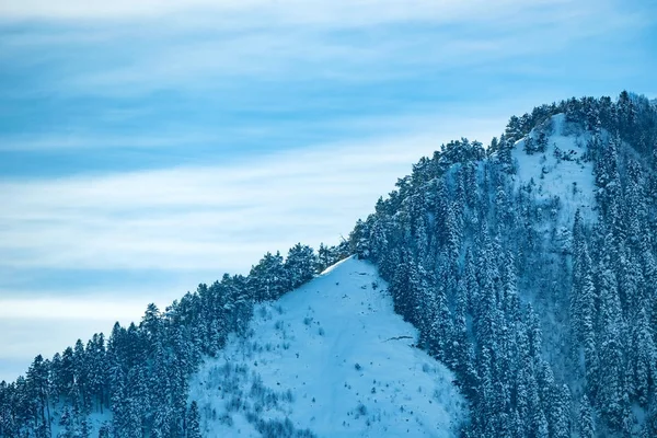 Winter van de besneeuwde bergen met zachthout forest — Stockfoto