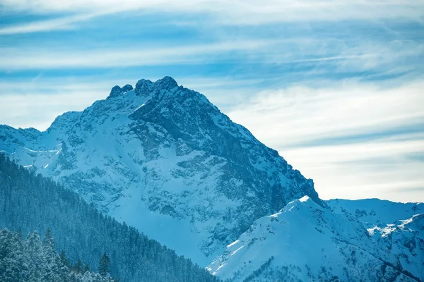 Zasněžené zimní hory s jehličnatých lesů — Stock fotografie