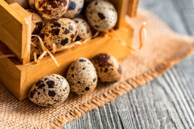 Bıldırcın yumurtası eski kahverengi ahşap yüzey üzerinde