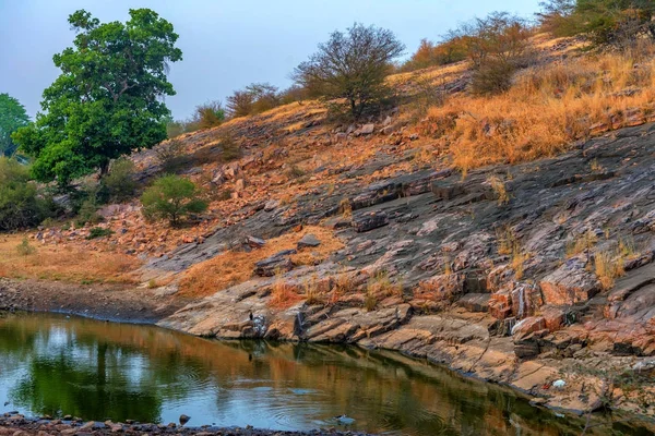 Wetlands van Ranthambore national park, India. — Stockfoto