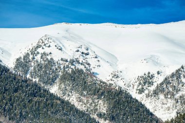 Karlı kış dağlar çam ormanı ile