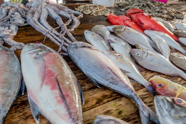 Taze çiğ balık ve deniz ürünleri Market — Stok fotoğraf