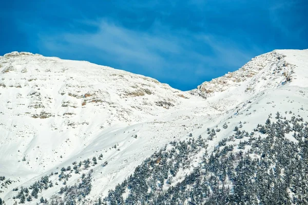 Winter van de besneeuwde bergen met zachthout forest — Stockfoto