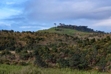 Doğal görünümü Horton ovaları, Sri Lanka