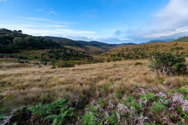 Doğal görünümü Horton ovaları, Sri Lanka