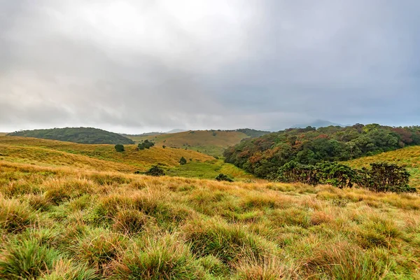 Scenic view in Horton Plains, Sri Lanka — Stock Photo, Image